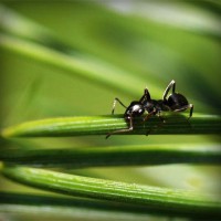 /album/teenlol-nl/photolia-a05-jpg/