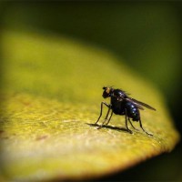 /album/teenlol-nl/photolia-a07-jpg/