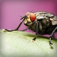 /album/teenlol-nl/photolia-a08-jpg/